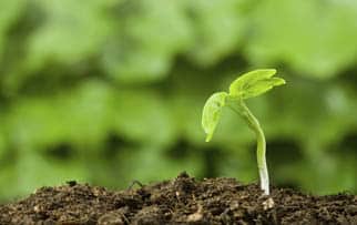 start_up-sized