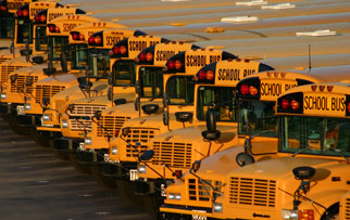 School & Municipal